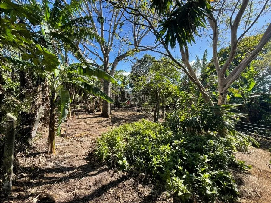 Terreno listo para construir en San Juan de Santa Barbara, photo 7