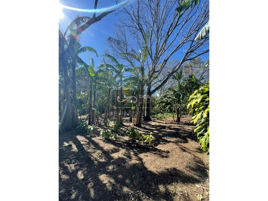 Terreno listo para construir en San Juan de Santa Barbara, photo 8