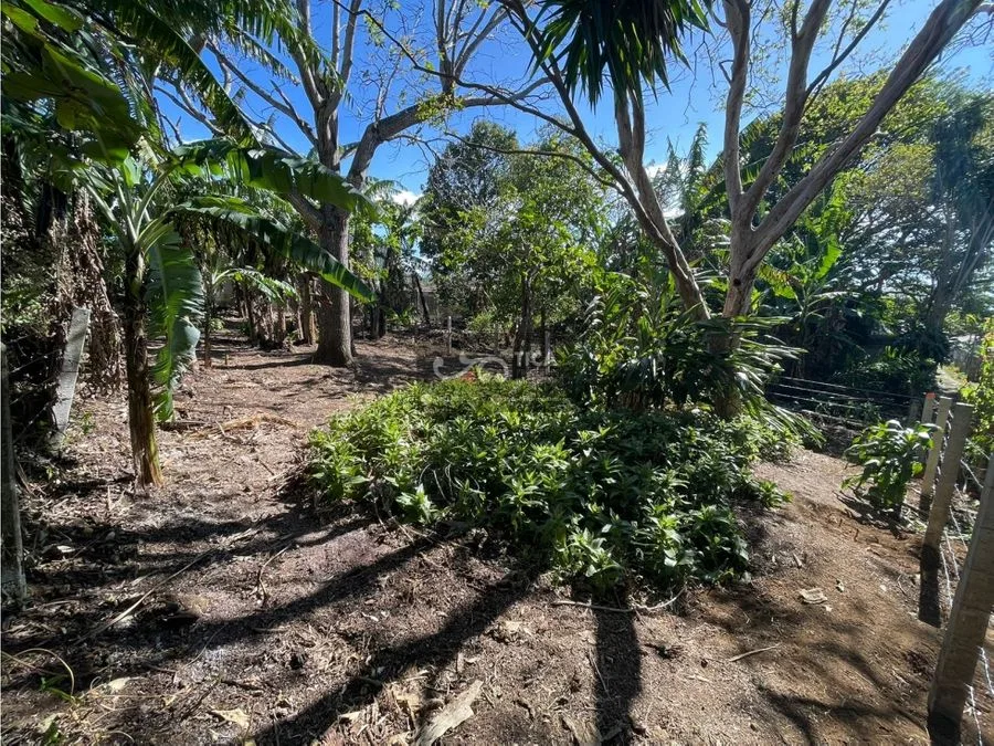 Terreno listo para construir en San Juan de Santa Barbara, photo 9