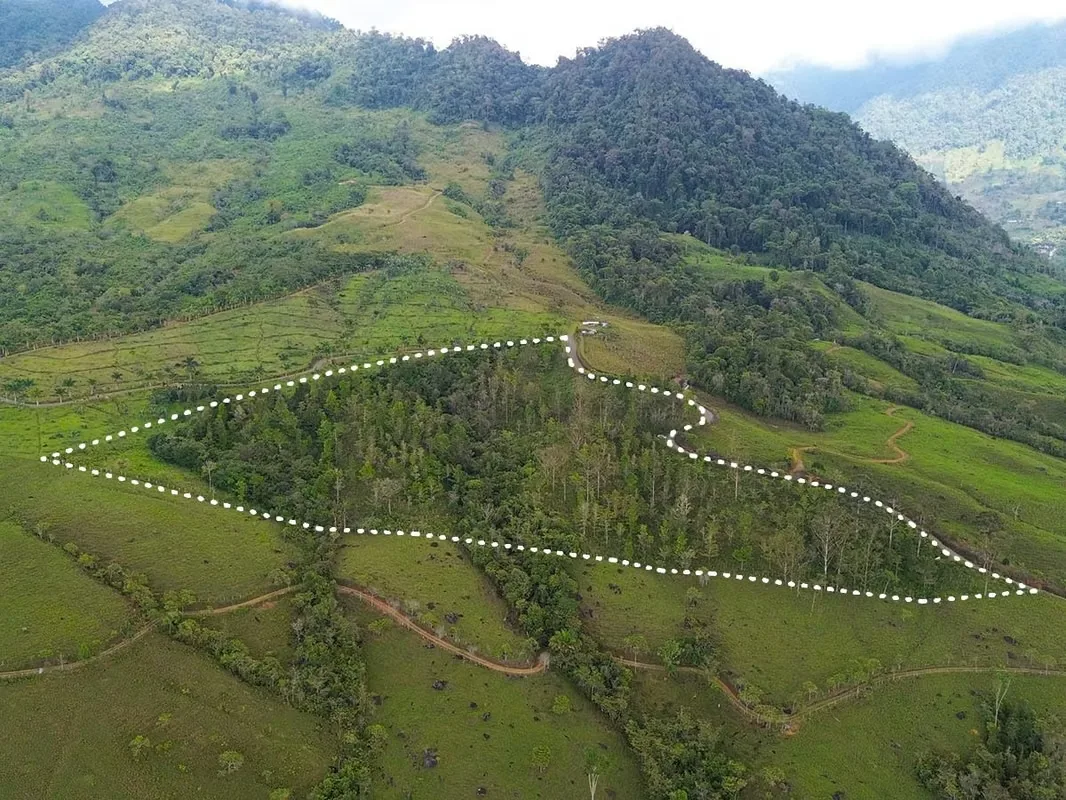 Land for Sale in Santa Teresa de Cajón, Pérez Zeledón, Costa Rica