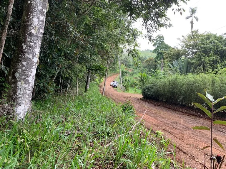 Ocean View Forest Reserve with Private Homesite Near Tinamastes, photo 2