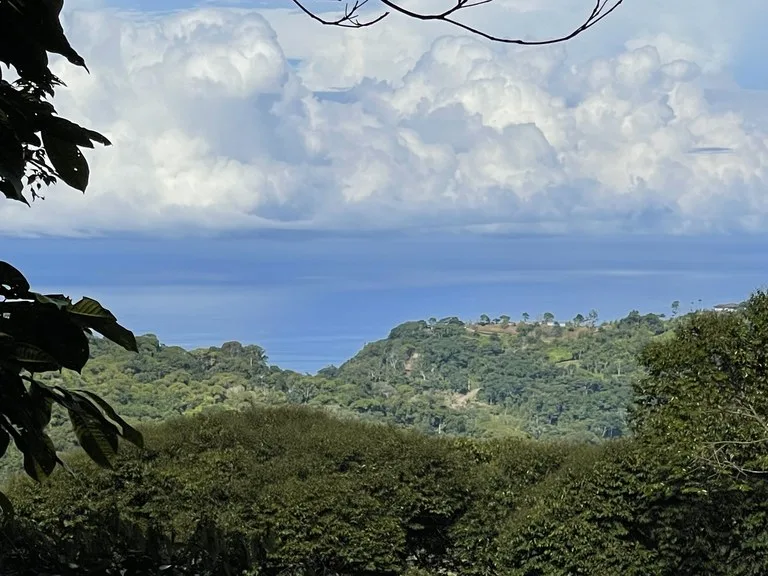 Ocean View Forest Reserve with Private Homesite Near Tinamastes, photo 11