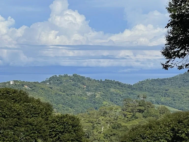 Ocean View Forest Reserve with Private Homesite Near Tinamastes, photo 12