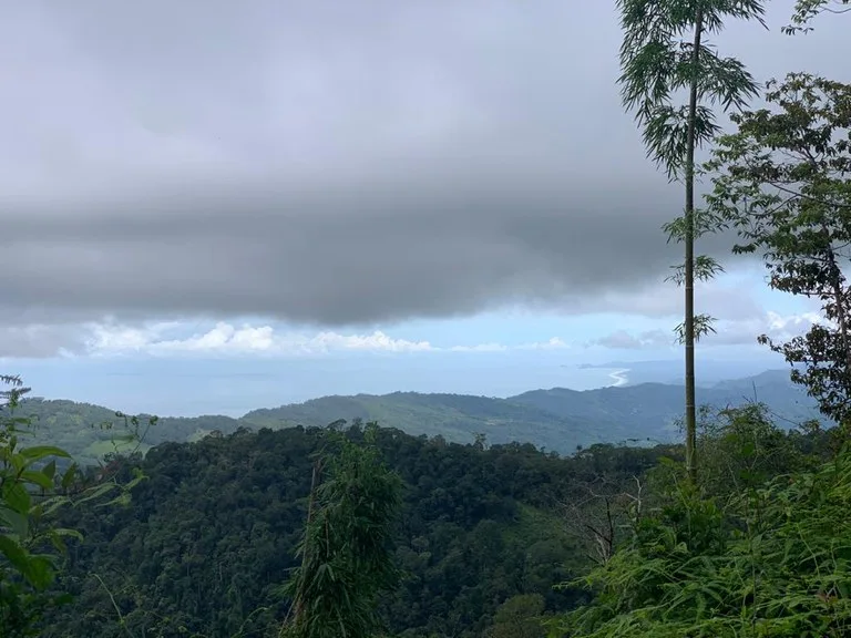 Ocean View Forest Reserve with Private Homesite Near Tinamastes, photo 3