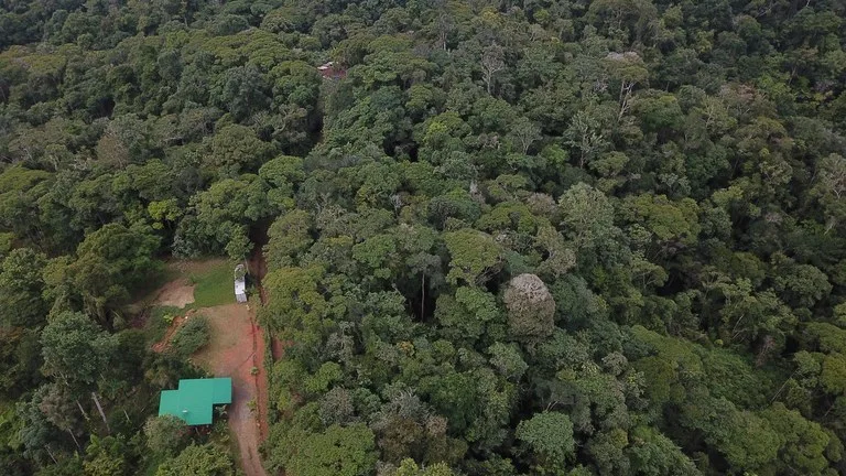 Ocean View Forest Reserve with Private Homesite Near Tinamastes, photo 4