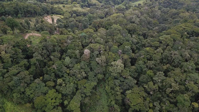 Ocean View Forest Reserve with Private Homesite Near Tinamastes, photo 5