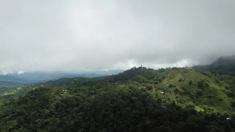 Ocean View Forest Reserve with Private Homesite Near Tinamastes, photo 6