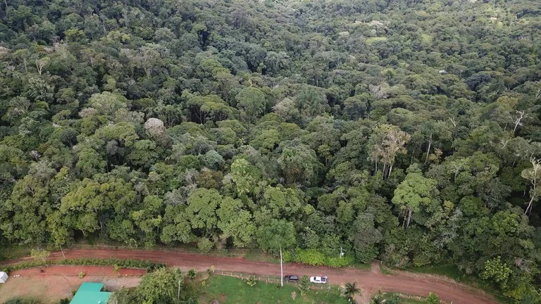 Ocean View Forest Reserve with Private Homesite Near Tinamastes, photo 7