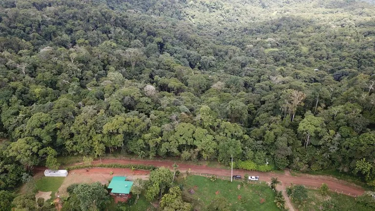 Ocean View Forest Reserve with Private Homesite Near Tinamastes, photo 8