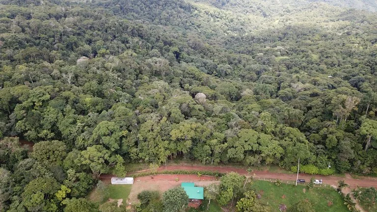 Ocean View Forest Reserve with Private Homesite Near Tinamastes, photo 10