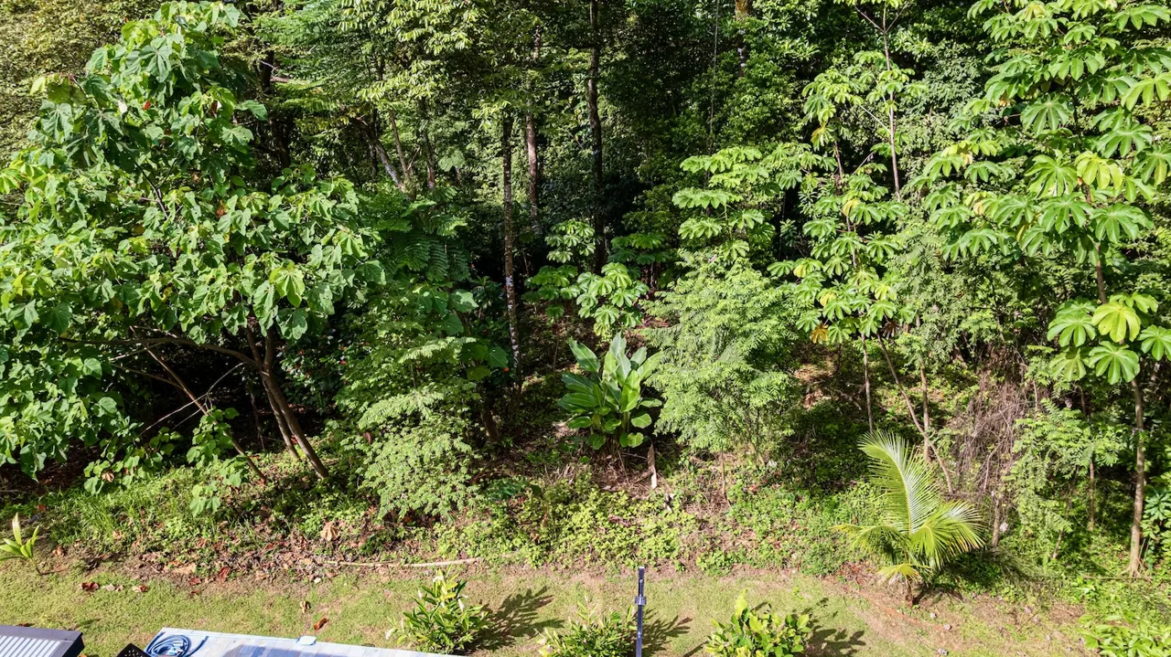 BUILDING JUNGLE PROPERTY WITH TREES VIEWS, IN OJOCHAL – 0.32 ACRES, photo 11