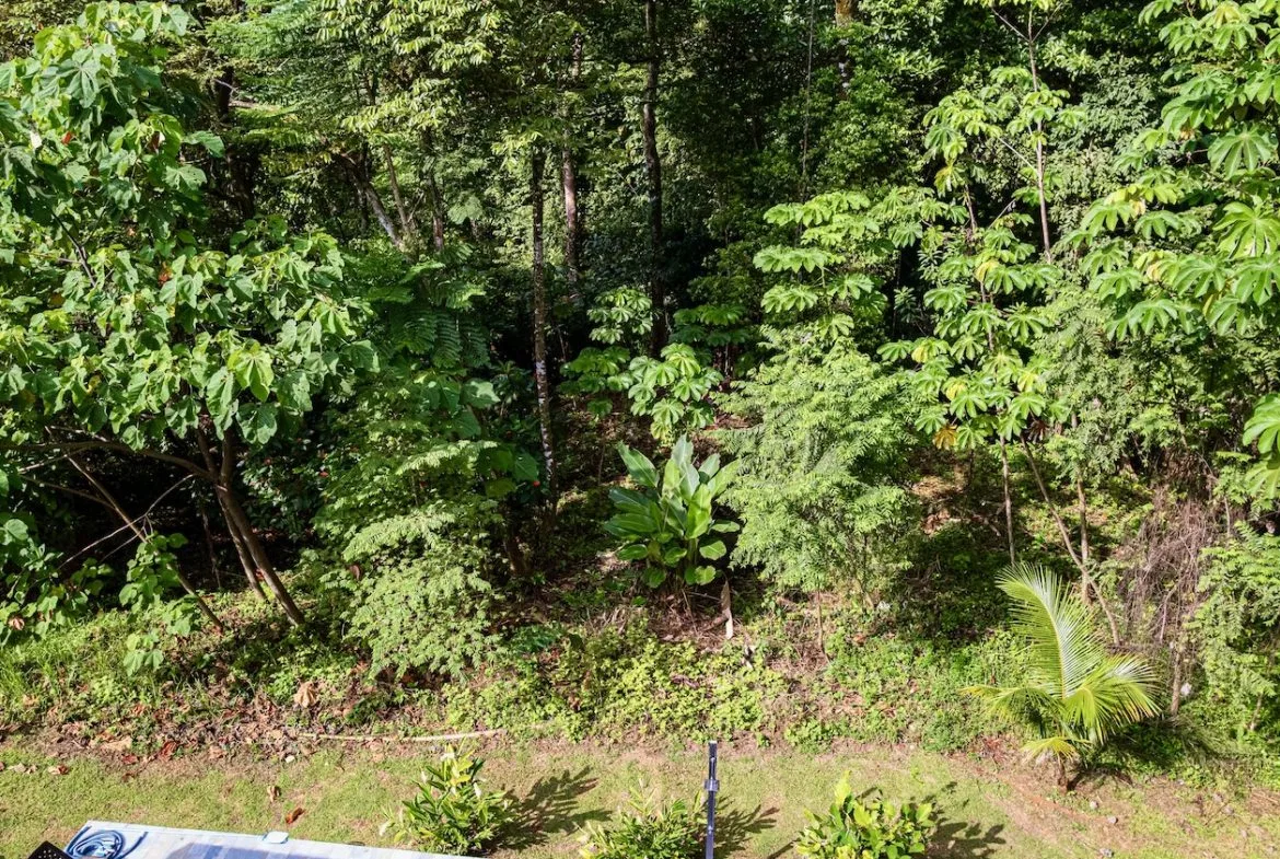 BUILDING JUNGLE PROPERTY WITH TREES VIEWS, IN OJOCHAL – 0.32 ACRES, photo 12