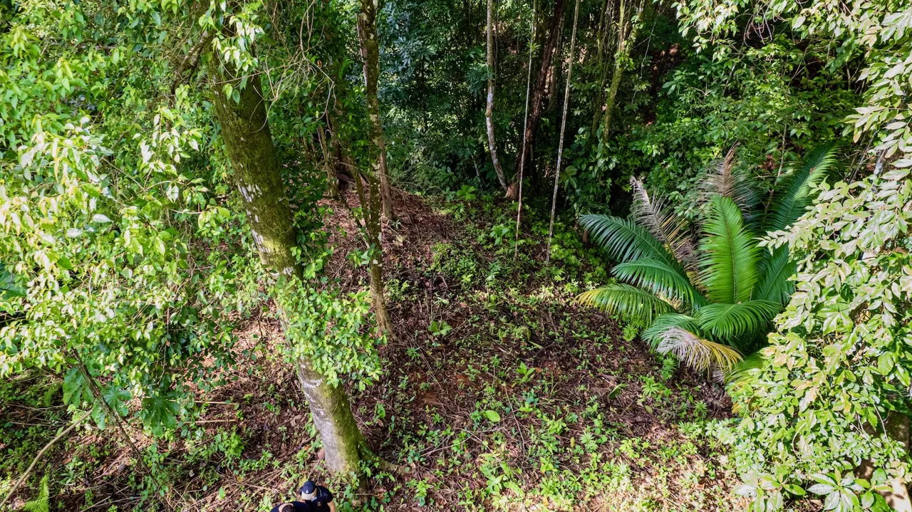 BUILDING JUNGLE PROPERTY WITH TREES VIEWS, IN OJOCHAL – 0.32 ACRES, photo 15