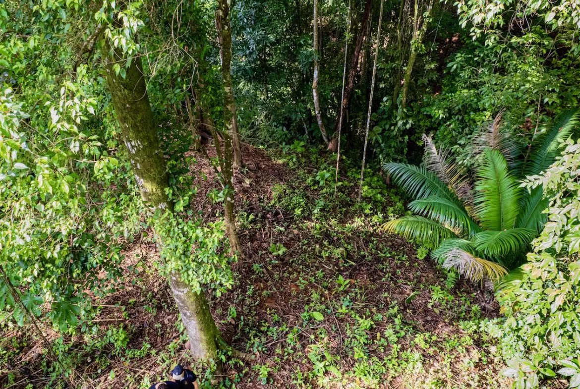 BUILDING JUNGLE PROPERTY WITH TREES VIEWS, IN OJOCHAL – 0.32 ACRES, photo 16