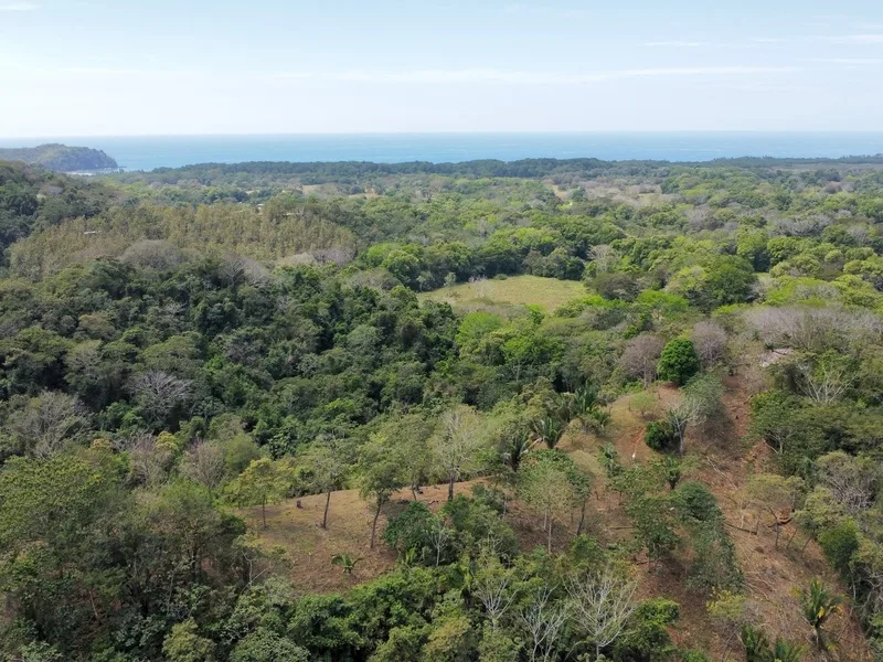 Land For Sale in Playa San Miguel