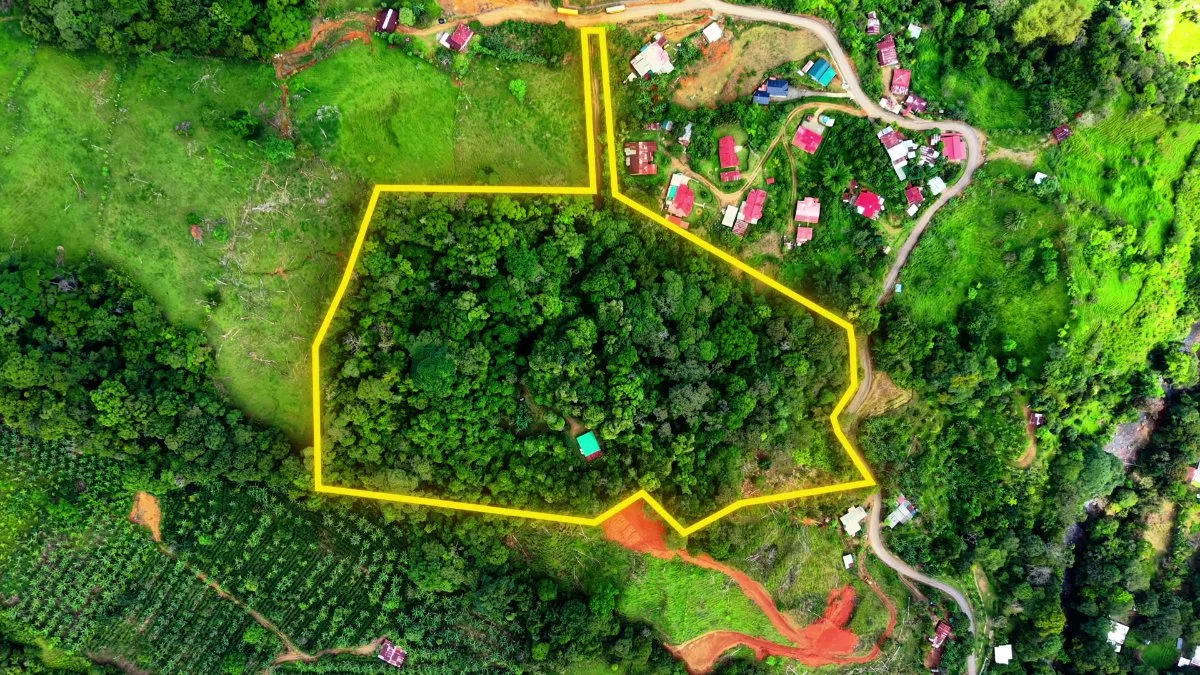SE VENDE REFUGIO PRIVADO CON MAS DE 4 HECTAREAS DE BOSQUE PRIMARIO - Venta en Pérez Zeledón
