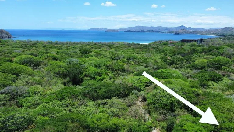 Development Parcel in Matapalo