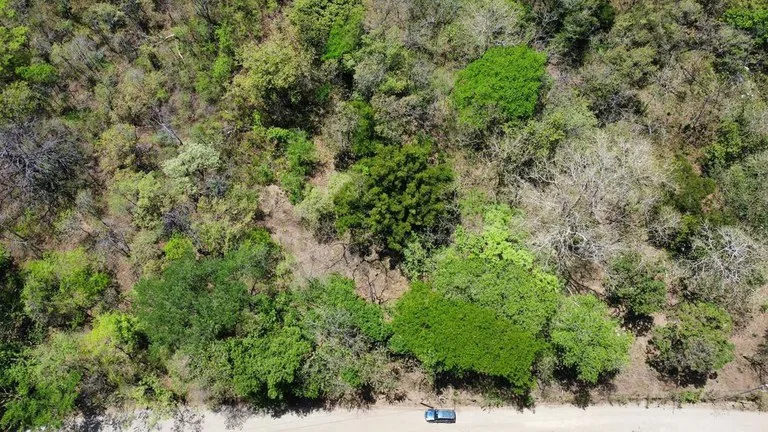 Development Parcel in Matapalo, photo 14