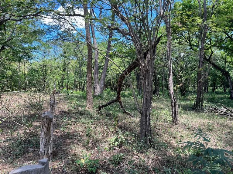 Development Parcel in Matapalo, photo 3
