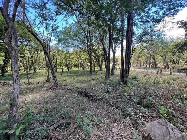 Development Parcel in Matapalo, photo 4