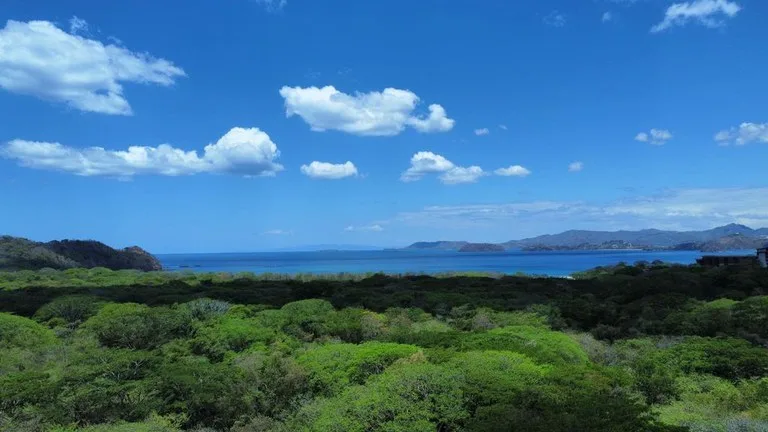 Development Parcel in Matapalo, photo 6