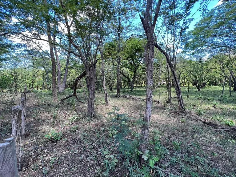 Development Parcel in Matapalo, photo 9