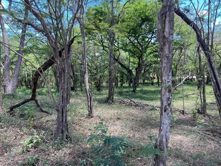 Development Parcel in Matapalo, photo 10