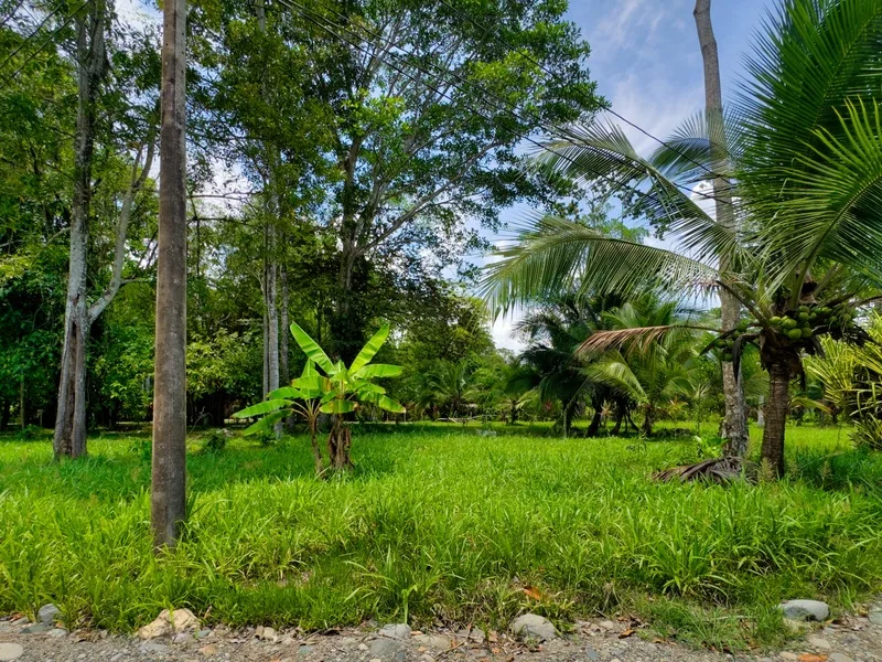 Land For Sale in Puerto Viejo