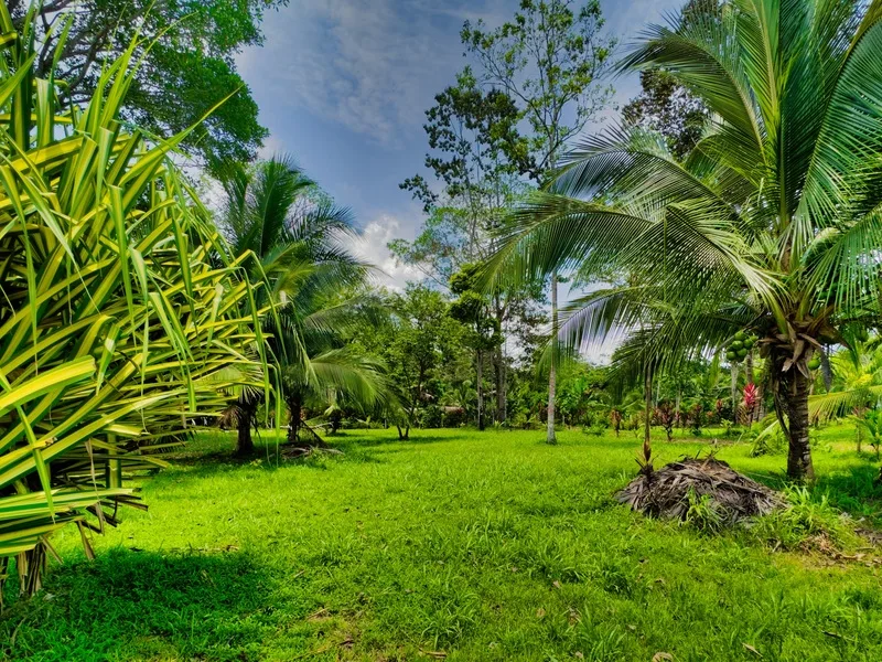 Land For Sale in Puerto Viejo, photo 2