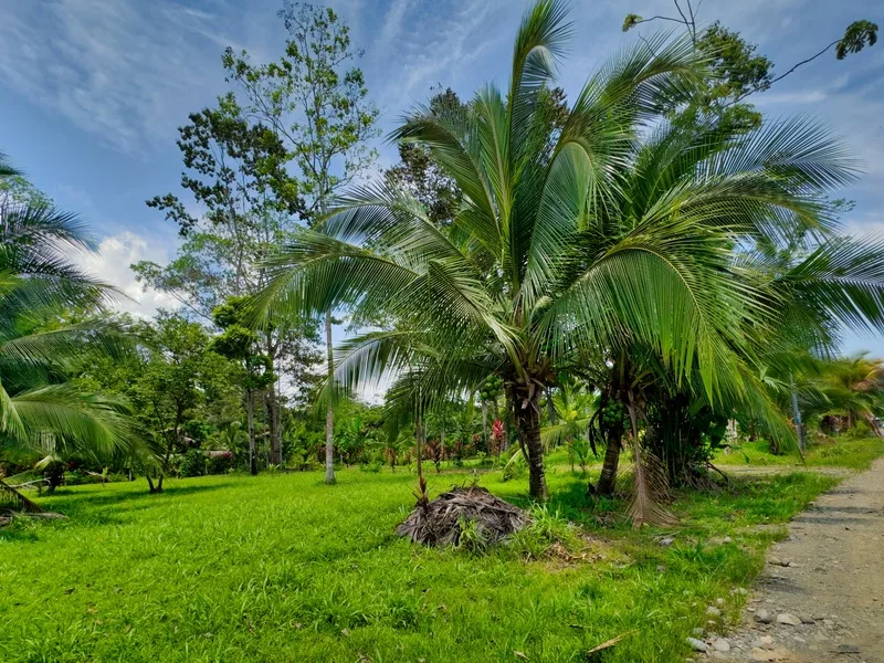 Land For Sale in Puerto Viejo, photo 3