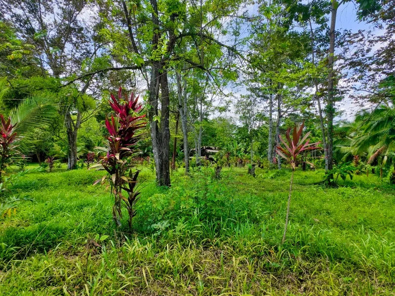 Land For Sale in Puerto Viejo, photo 4