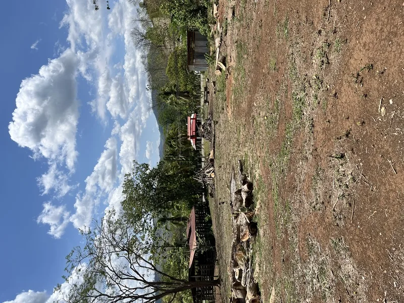 Land For Sale in Samara, photo 2