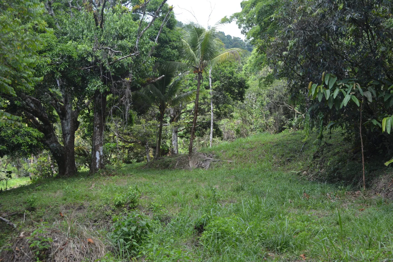 BUILDING PROPERTY WITH MOUNTAIN VIEWS AND NEAR TO THE WATERFALL, IN SILENCIO SAVEGRE – 42.4 ACRES