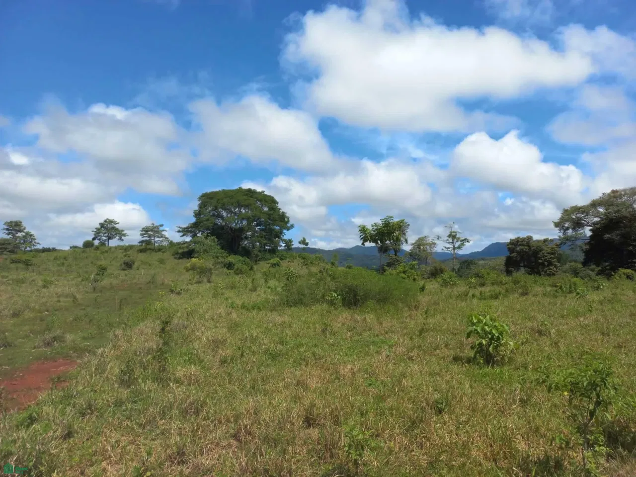 Cobano, Cóbano, Puntarenas 60111