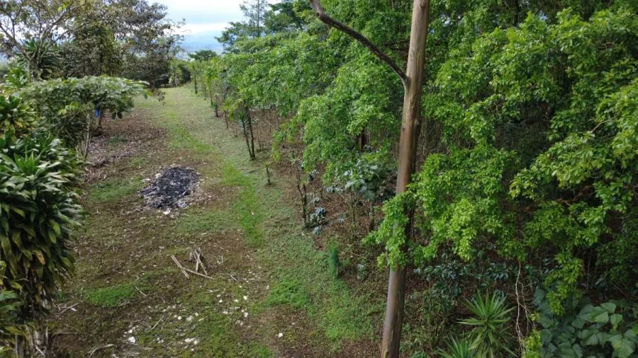 PROPIEDAD EN VENTA EN SAN FRANCISCO DE CAJÓN | 5,186 M² - Venta en Perez Zeledón, photo 11