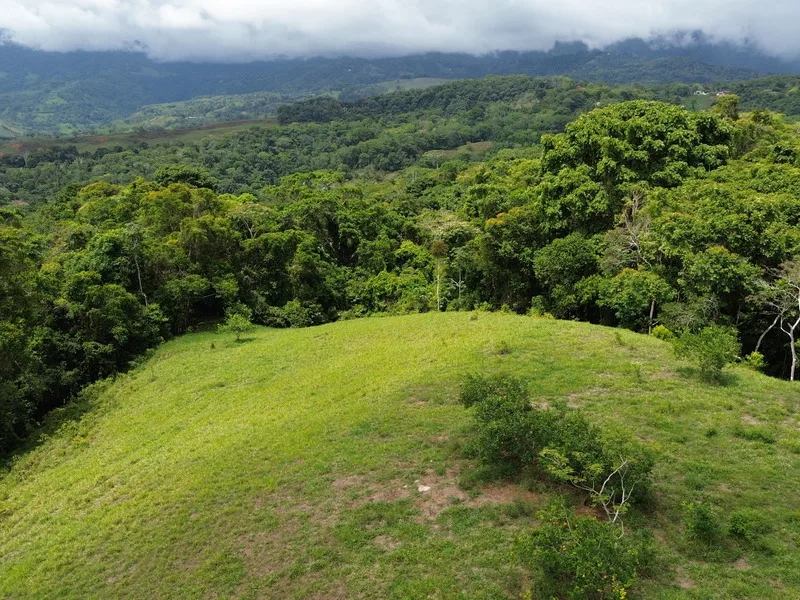 Land For Sale in Perez Zeledon, photo 2