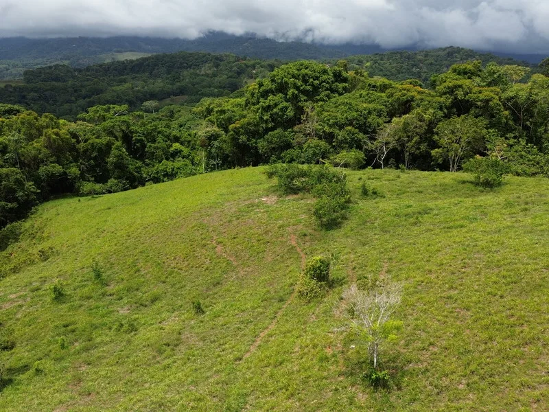 Land For Sale in Perez Zeledon, photo 13