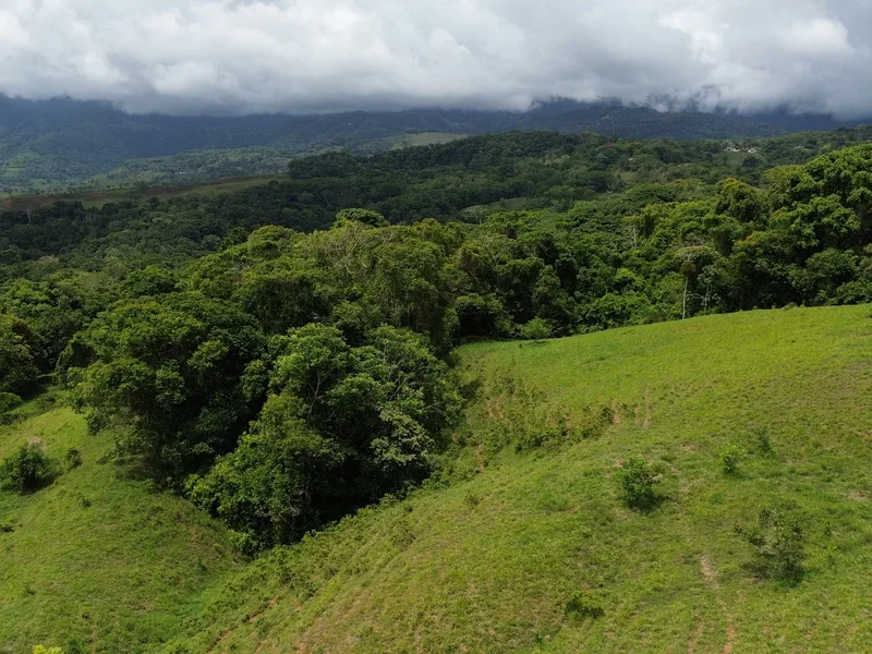 Land For Sale in Perez Zeledon, photo 15