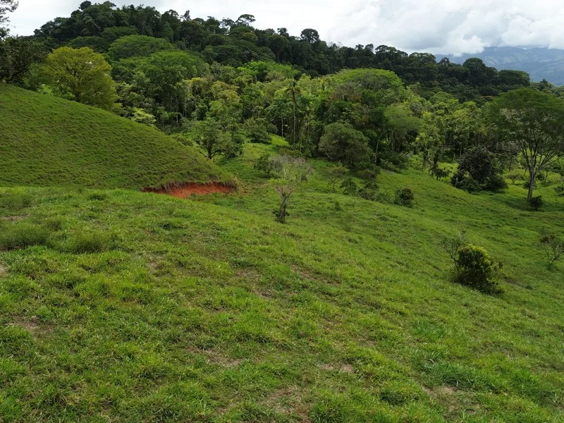 Land For Sale in Perez Zeledon, photo 3