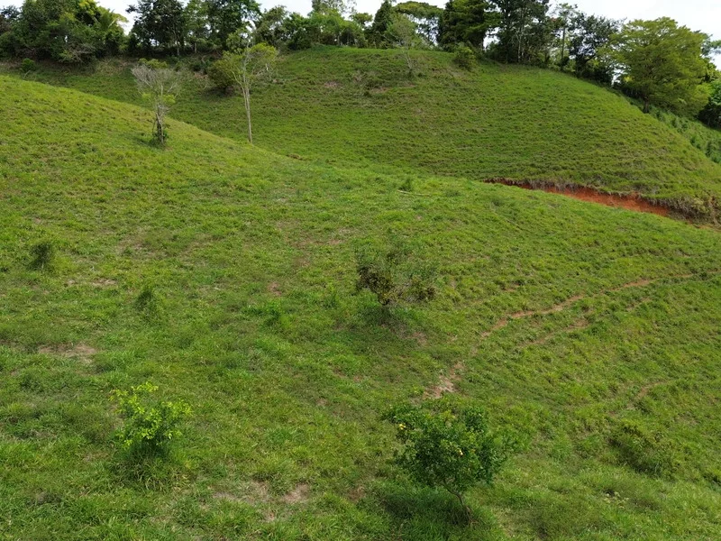 Land For Sale in Perez Zeledon, photo 4