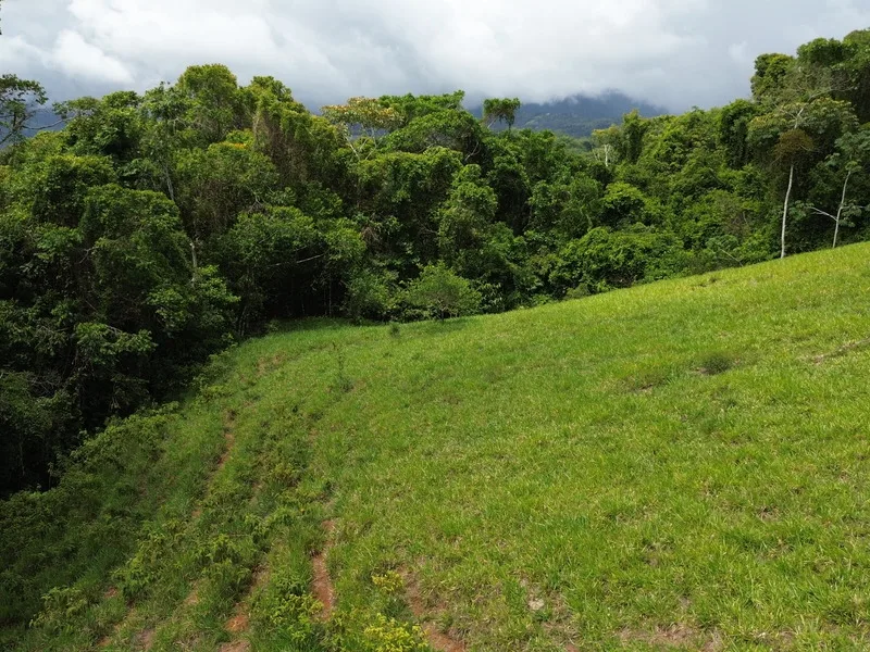 Land For Sale in Perez Zeledon, photo 5