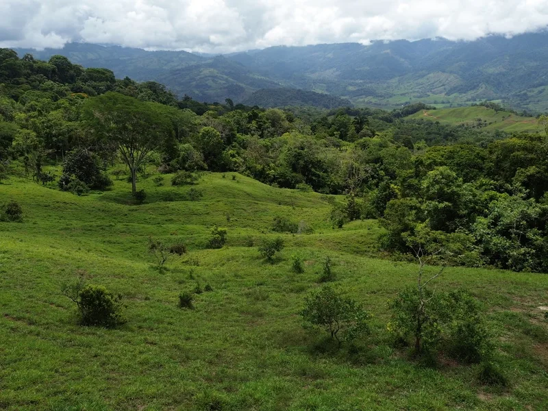 Land For Sale in Perez Zeledon, photo 6