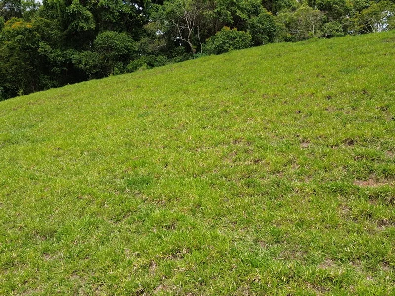 Land For Sale in Perez Zeledon, photo 8