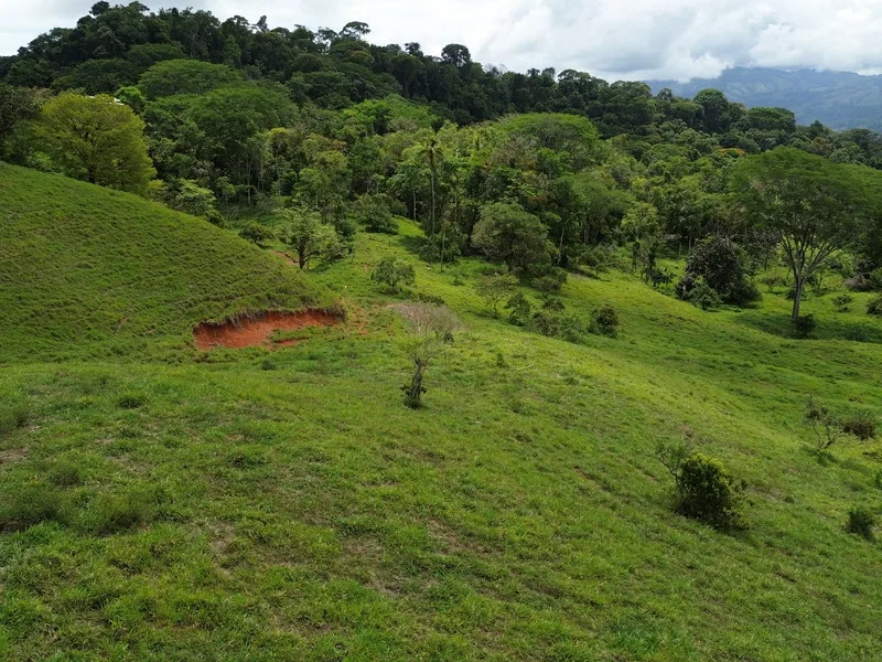 Land For Sale in Perez Zeledon, photo 9