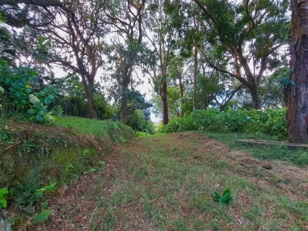 House for Sale in La Florida, San Juan de Tibás, photo 8