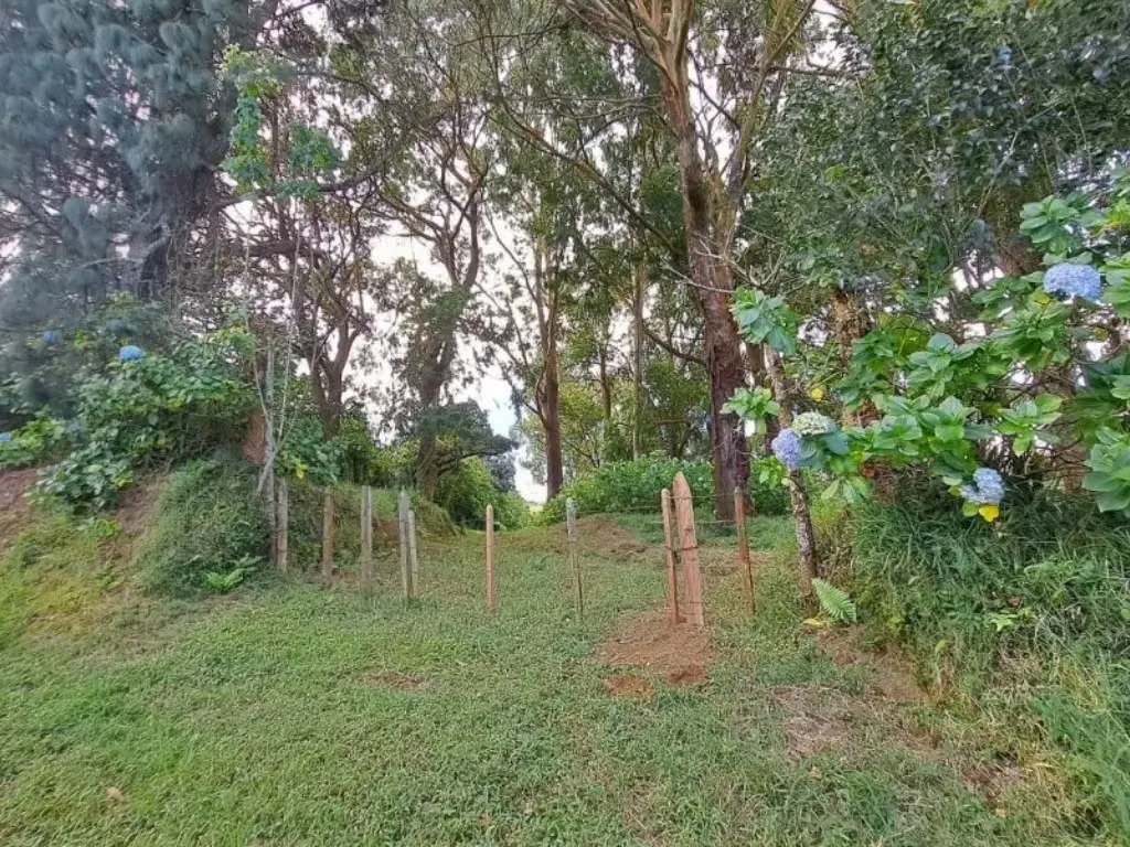 House for Sale in La Florida, San Juan de Tibás, photo 9
