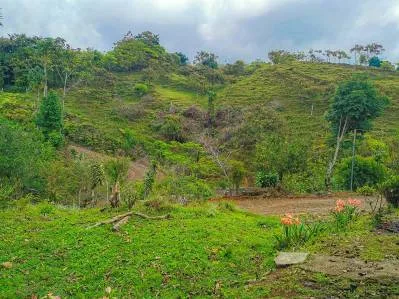 finca venta