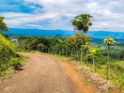 finca venta, photo 2