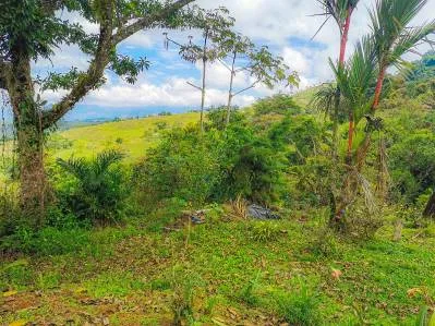 finca venta, photo 4
