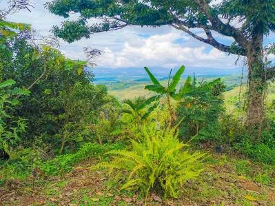 finca venta, photo 10